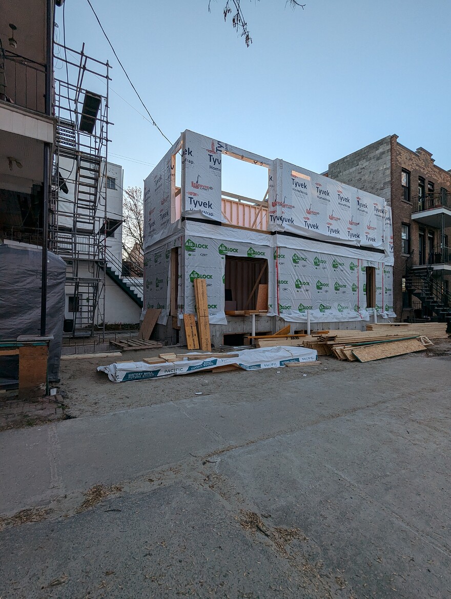 PXL_20241113_204806187