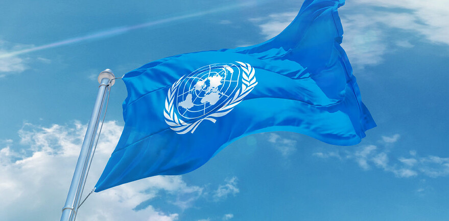 Drapeau de l'Organisation des nations unies