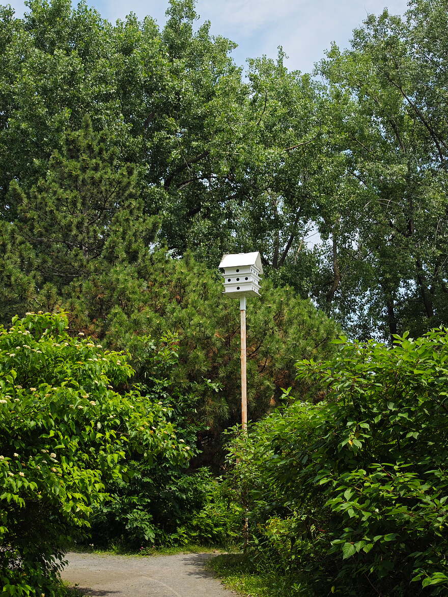 IMG_20250709_135428