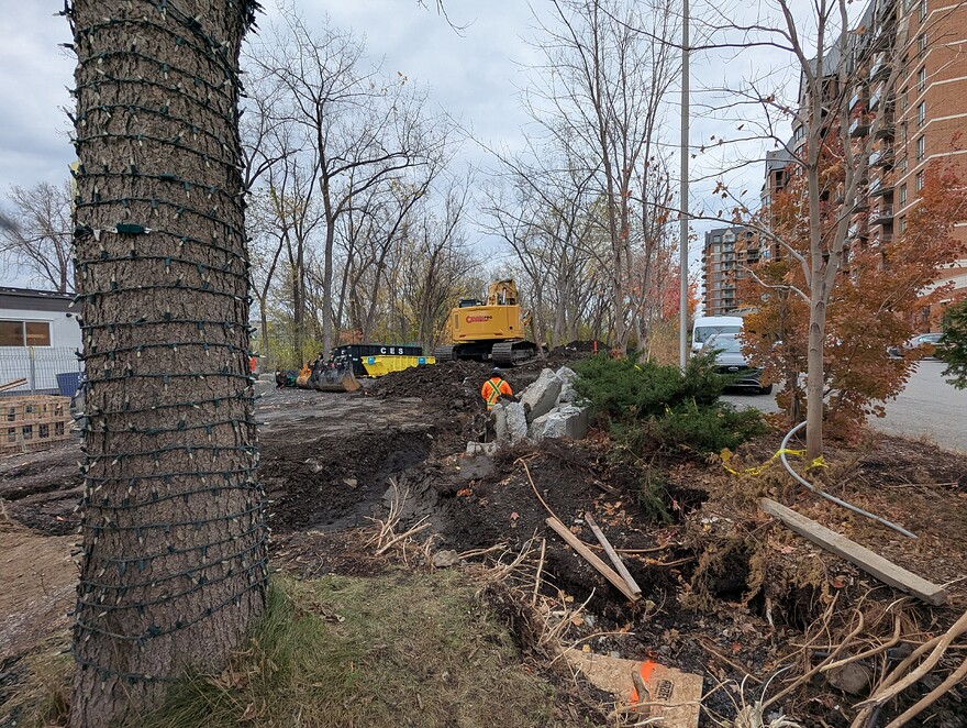 PXL_20251103_161629083