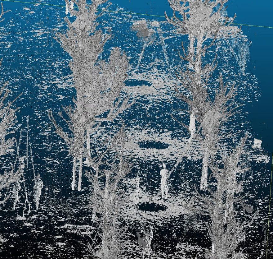Hydro-Québec is using LiDAR technology to create a 'digital twin' of its network and monitor trees, as shown here. (Submitted by Loïc Charlebois-Vachon)
