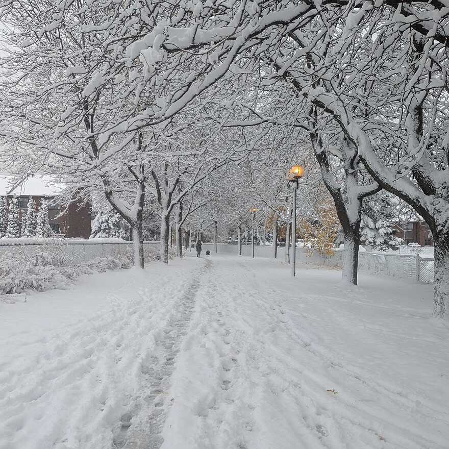 PXL_20251111_132907573