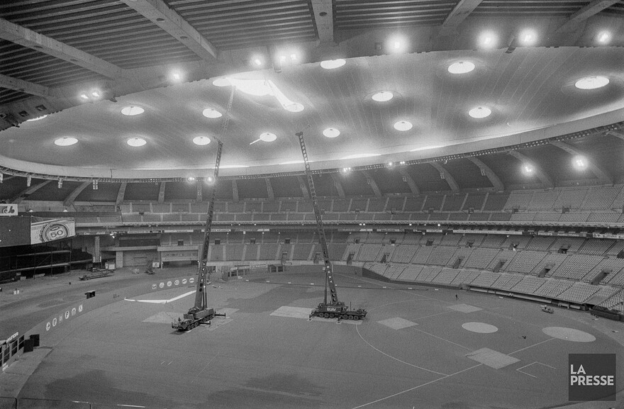 06M_P833S5D1988-0332_001