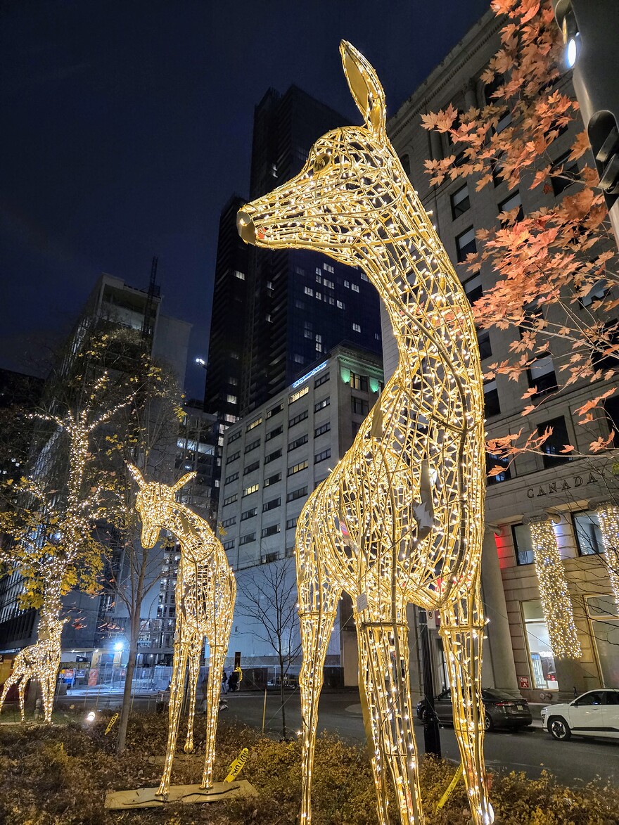 20241110_170401~2