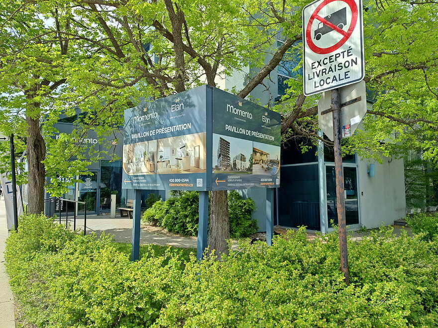 IMG_20250516_153015927_HDR