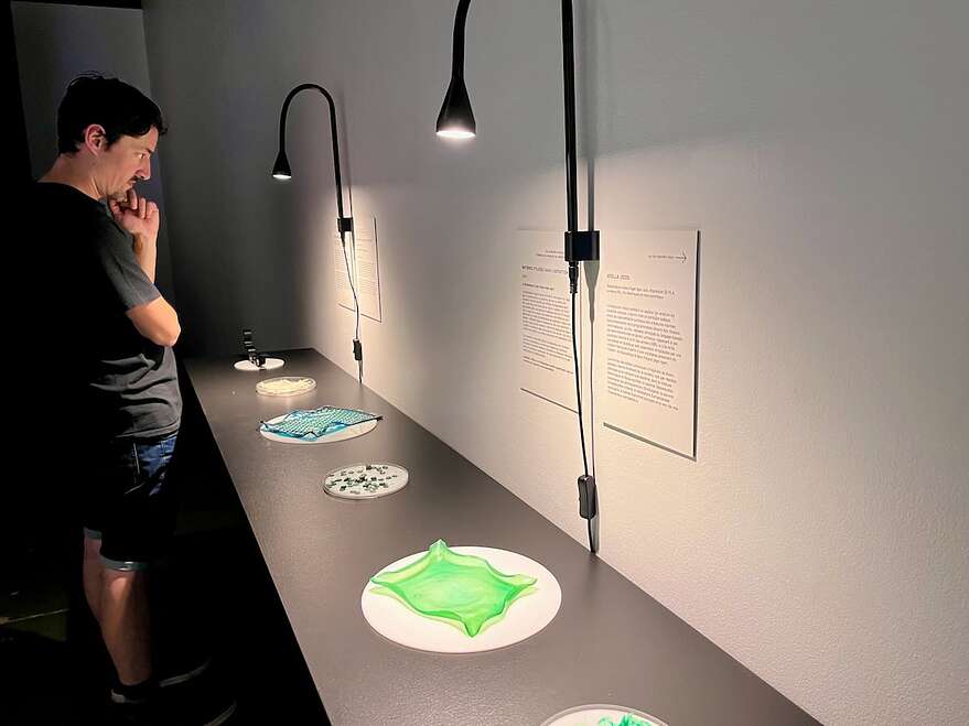 Une partie de l’exposition <em>Nous sommes tou·te·s signaux</em> révèle des pièces fabriquées avec du bioplastique à base d’algue.