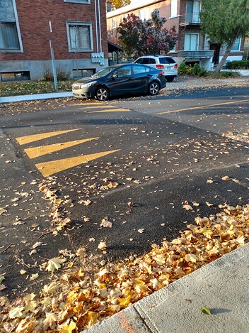 IMG_20241026_164553235_HDR