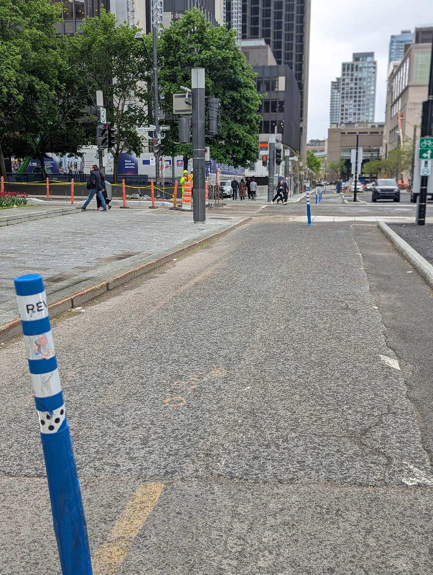 PXL_20250522_170818109.PORTRAIT