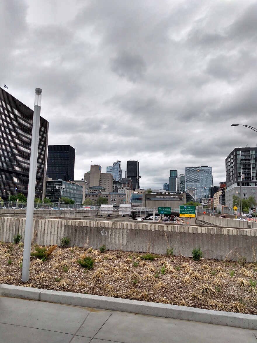 IMG_20250520_141350124_HDR