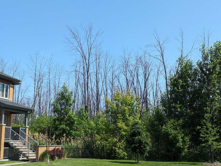 AGC_20250614_190233476