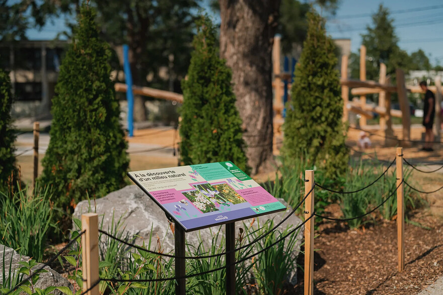Panneau d’interprétation d’un microbiome (Courtoisie arrondissement de Rosemont–La Petite-Patrie)880x586
