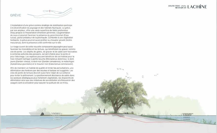 548296309_1211735764095367_5548708536520458784_n