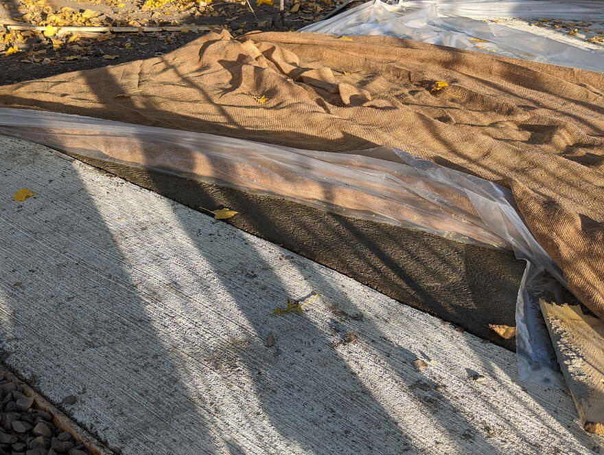 AGC_20251006_211132595