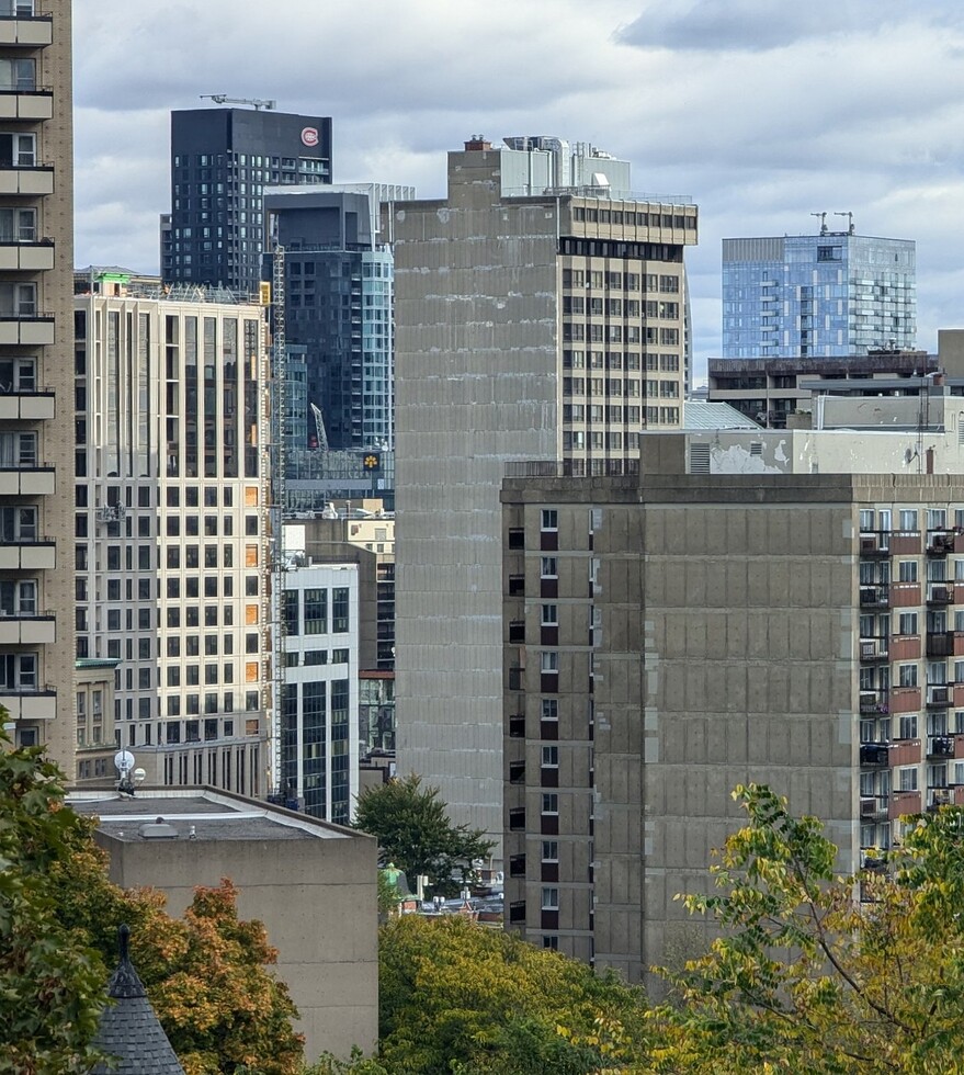 PXL_20251015_173800320~3