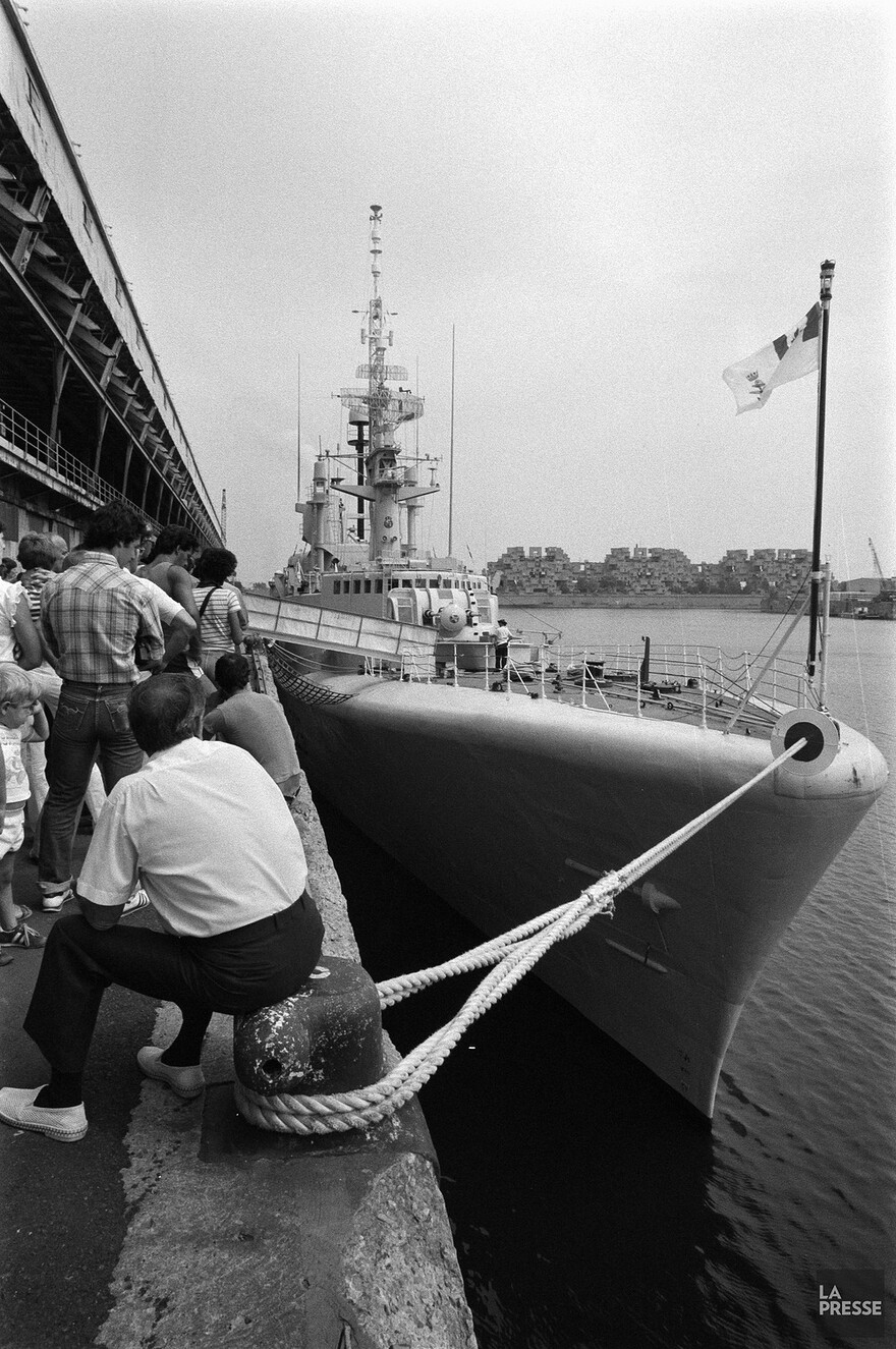 06M_P833S5D1983-0252_009