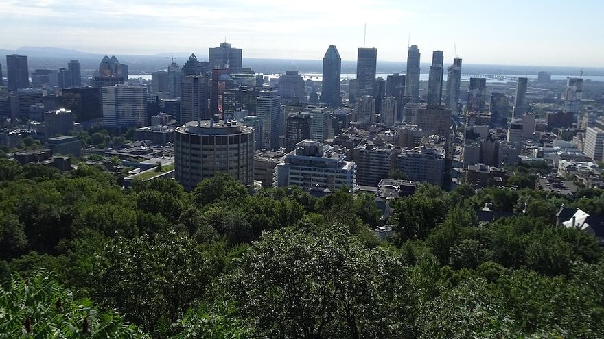 Vue des immeubles du centre-ville de Montréal et des arbres sur le flanc du Mont-Royal.