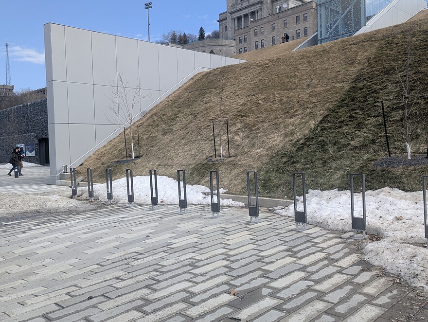 PXL_20250322_164745272
