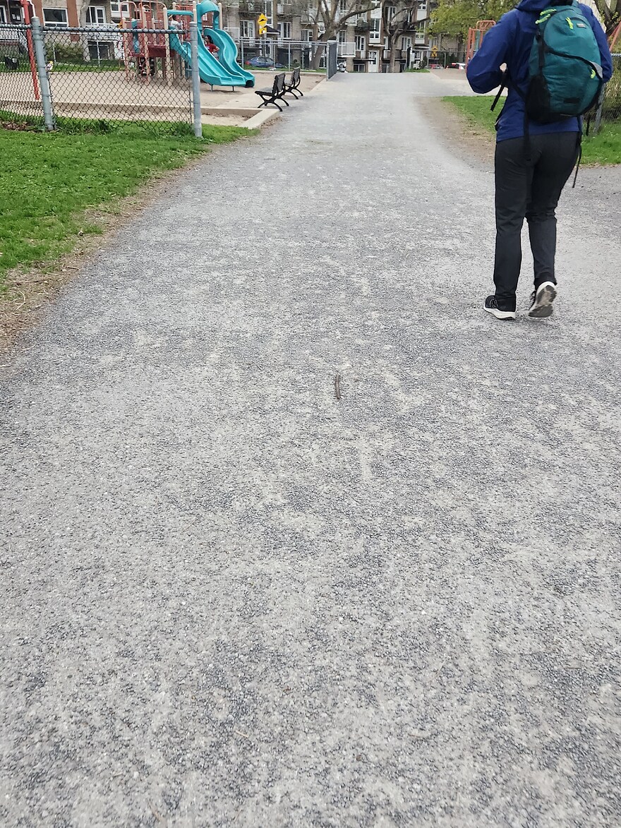20250507_184956