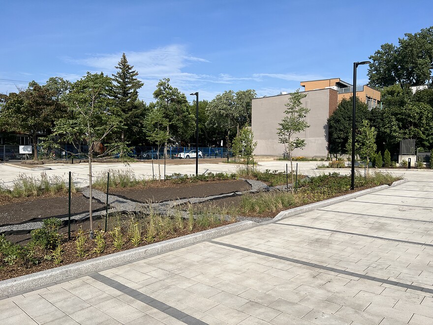 Greenery in the centre being planted