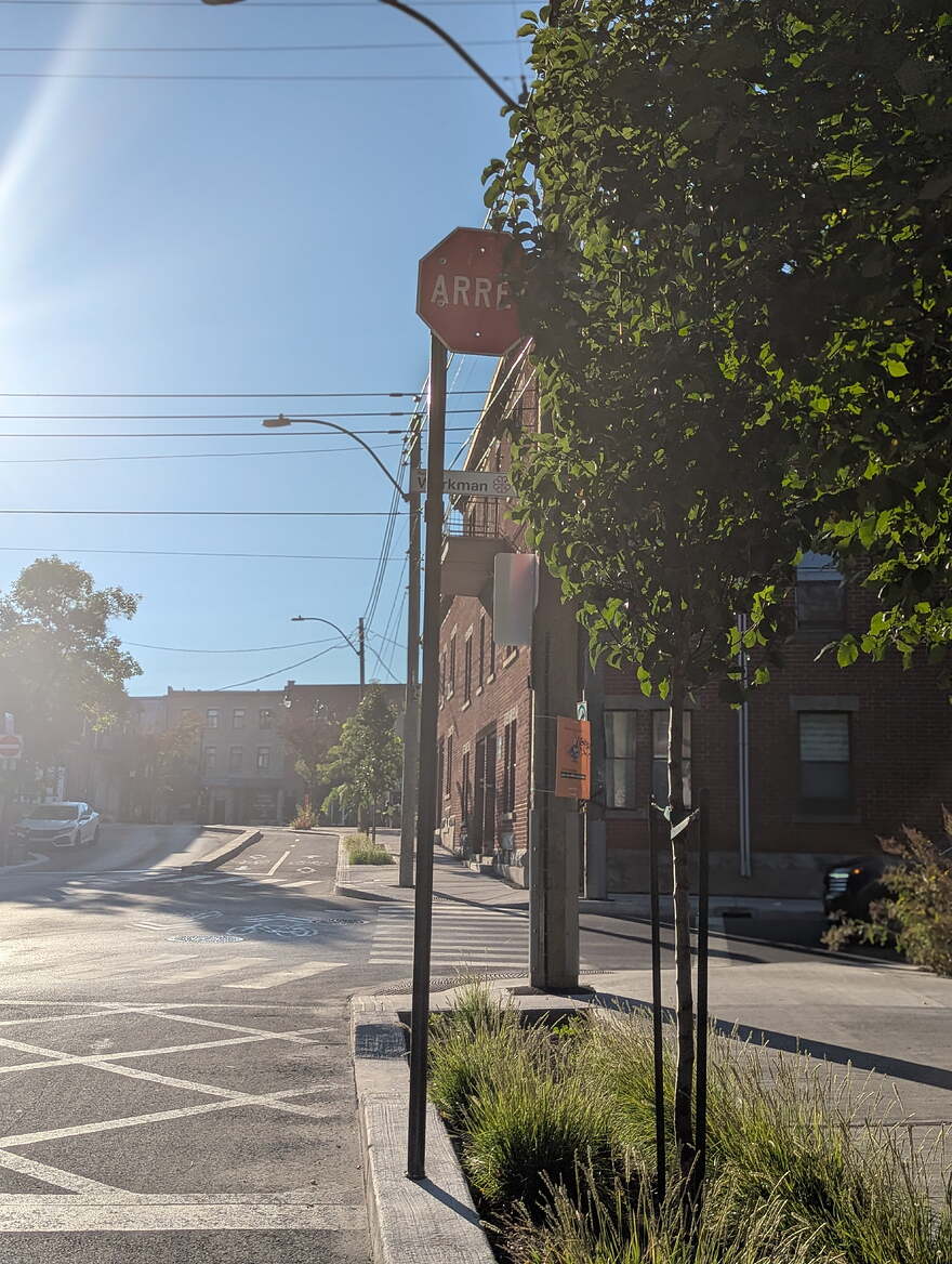 PXL_20250916_122751729.PORTRAIT