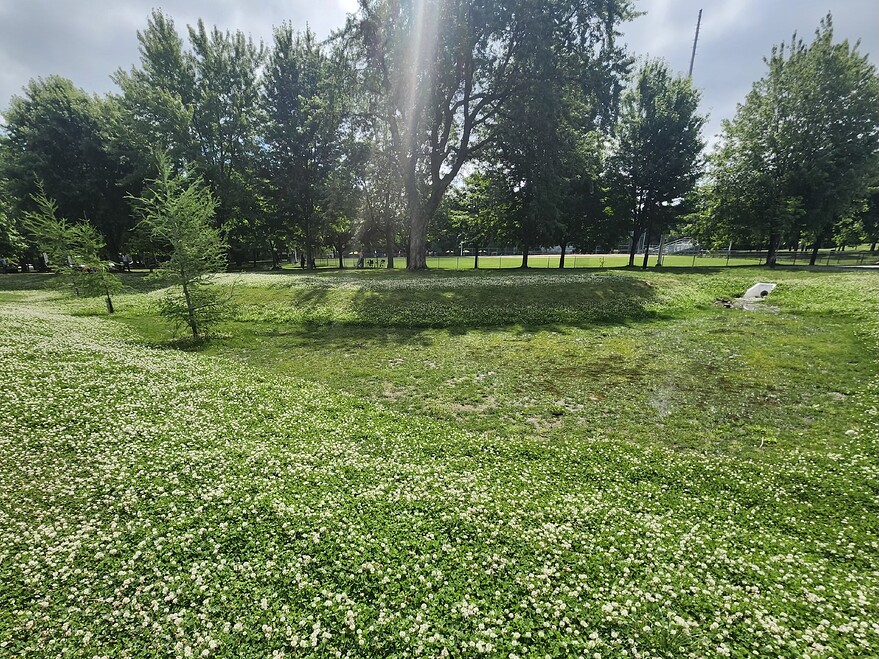 20250708_105748