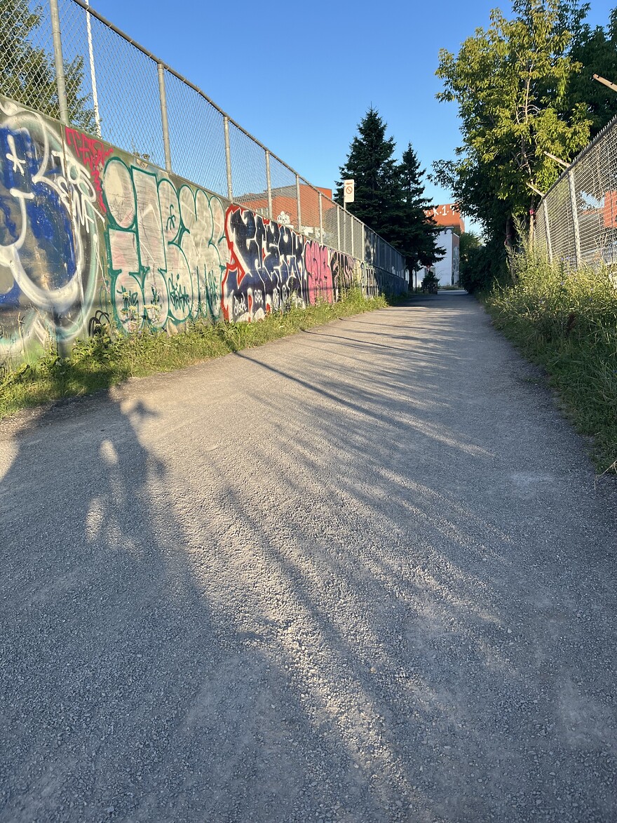 IMG_1984