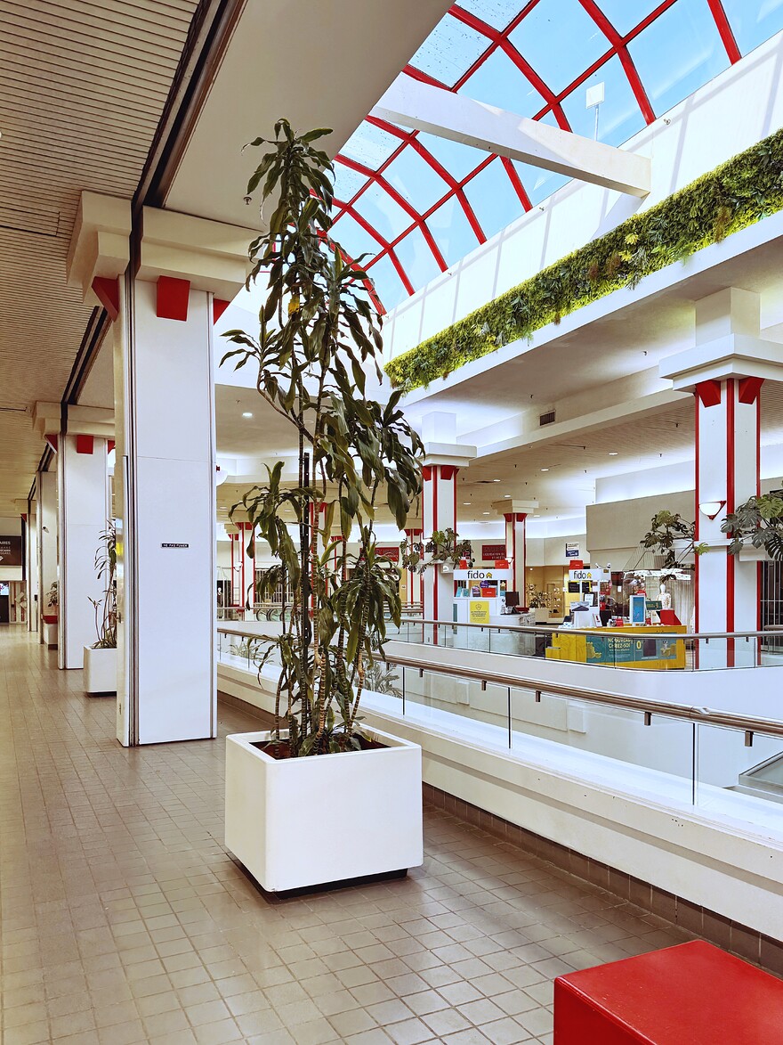 IMG_0661_SnapseedCopy_SnapseedCopy_SnapseedCopy