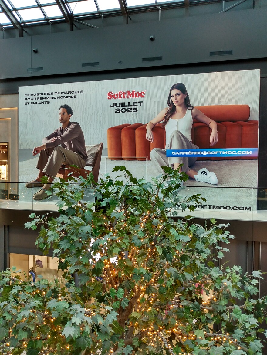 IMG_20250325_131855577_HDR