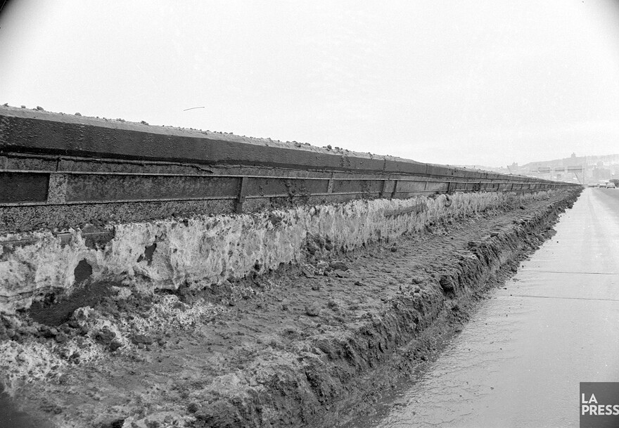 06M_P833S5D1969-0021_0010