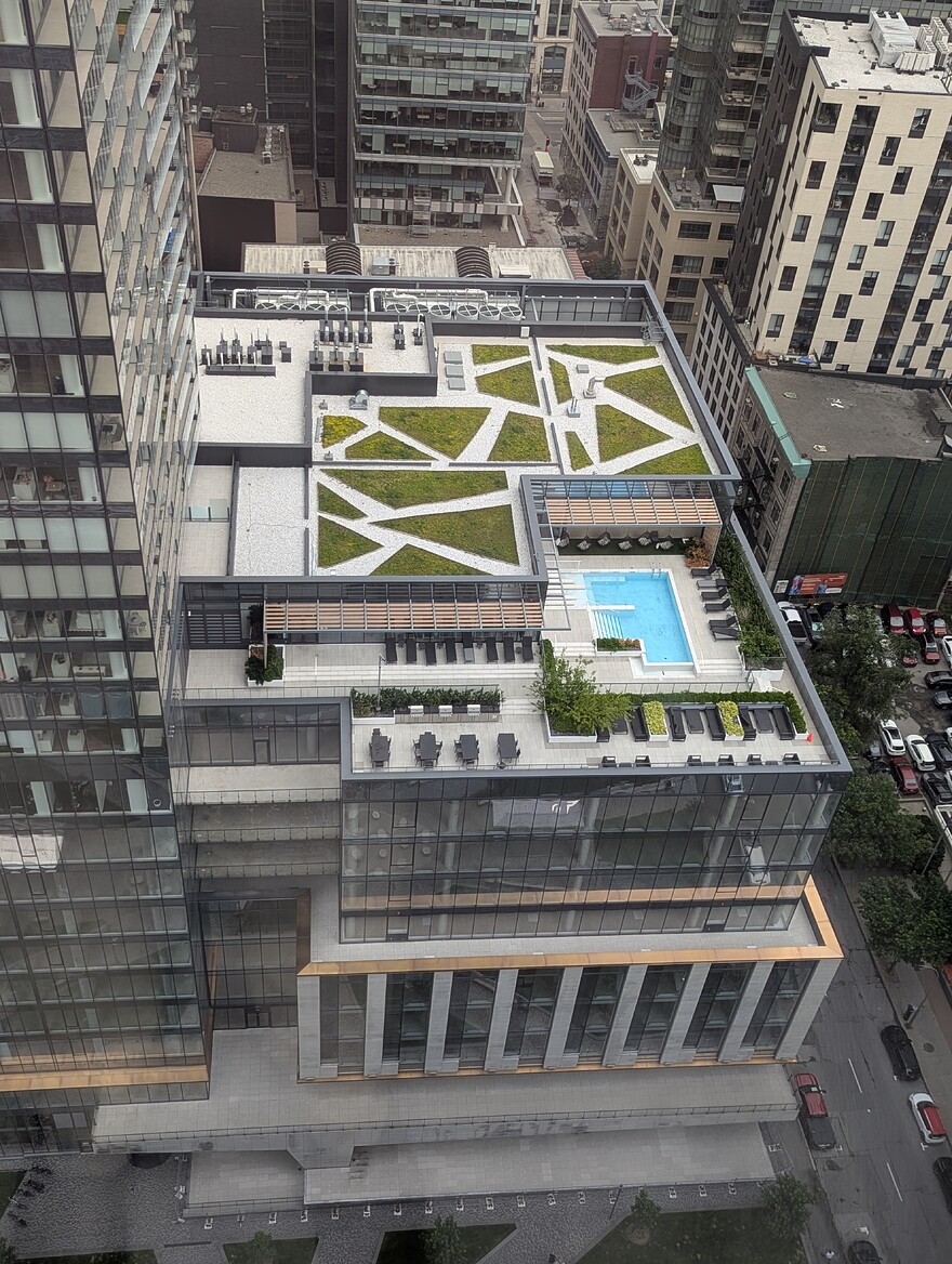 PXL_20250707_143956713.PORTRAIT.ORIGINAL