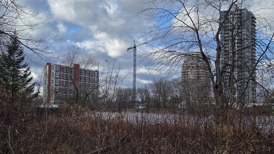 20241127_135403