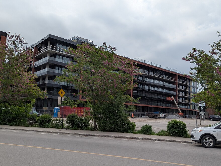 PXL_20250531_124602077.PORTRAIT.ORIGINAL