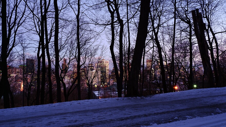 DSCF0441-b