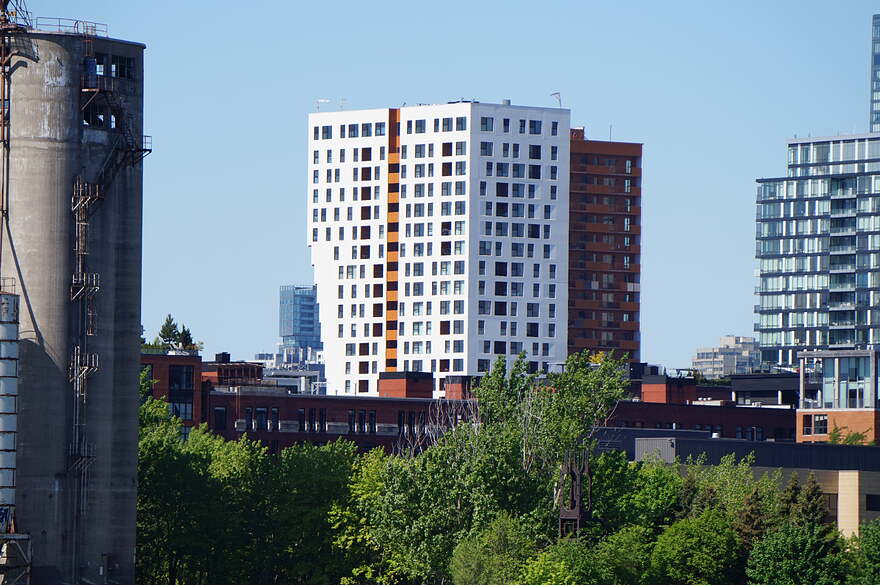 DSC05150