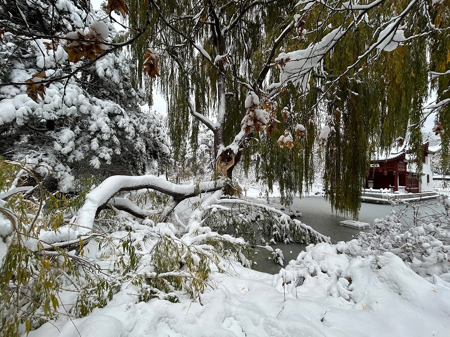 FB_IMG_1762925890183