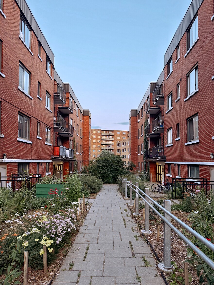 IMG_0269_SnapseedCopy