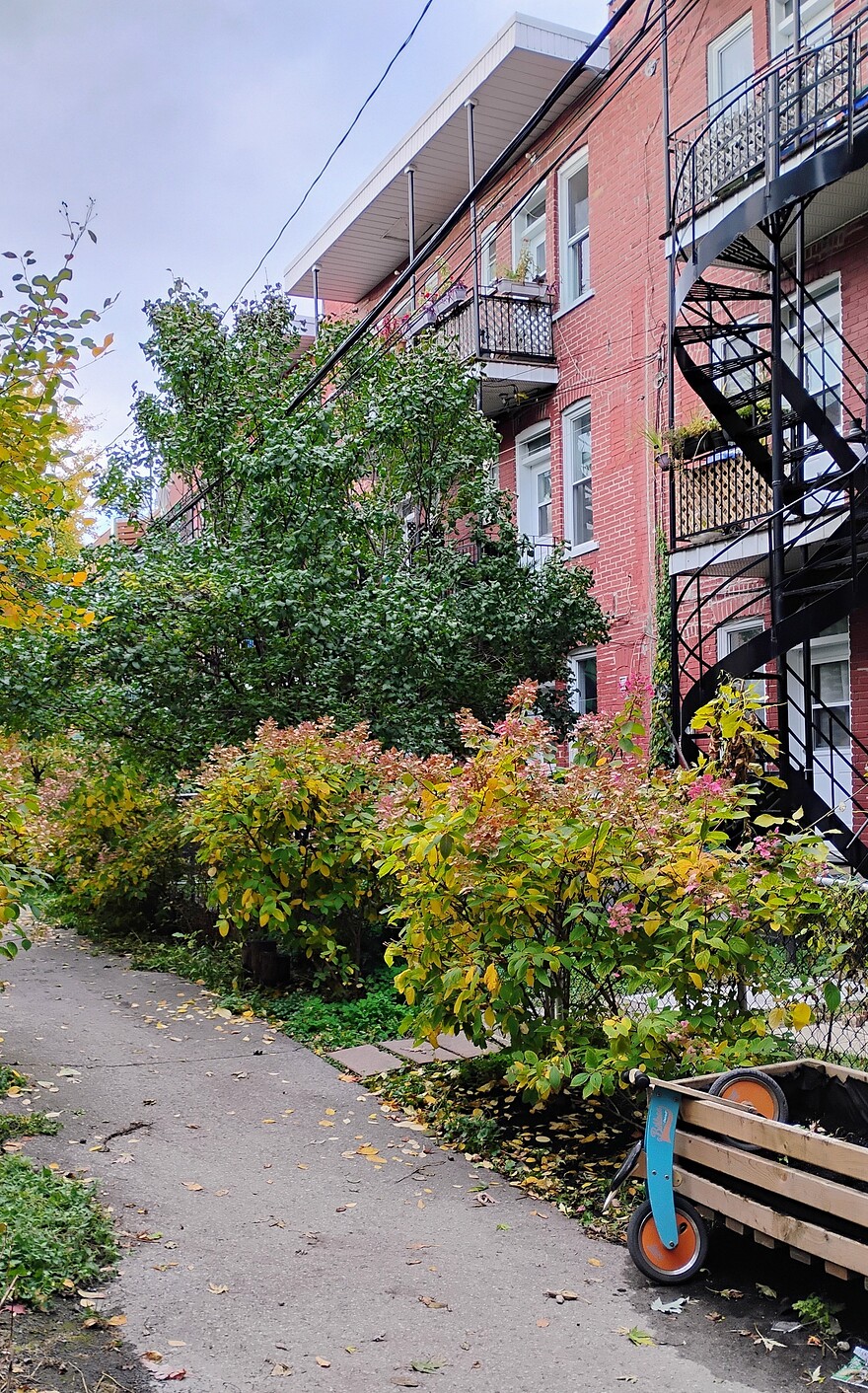 IMG_20251024_164059234_HDR_AE