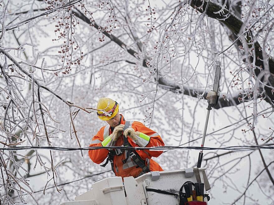 Un émondeur dans une nacelle parmi les branches glacées.