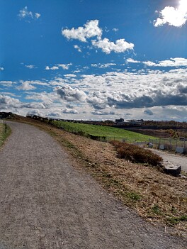 IMG_20241027_134825510_HDR