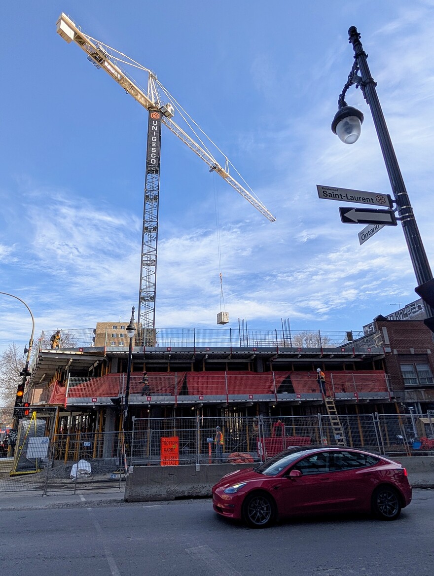 PXL_20250319_150545741