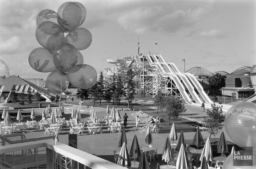 06M_P833S5D1986-0255_020