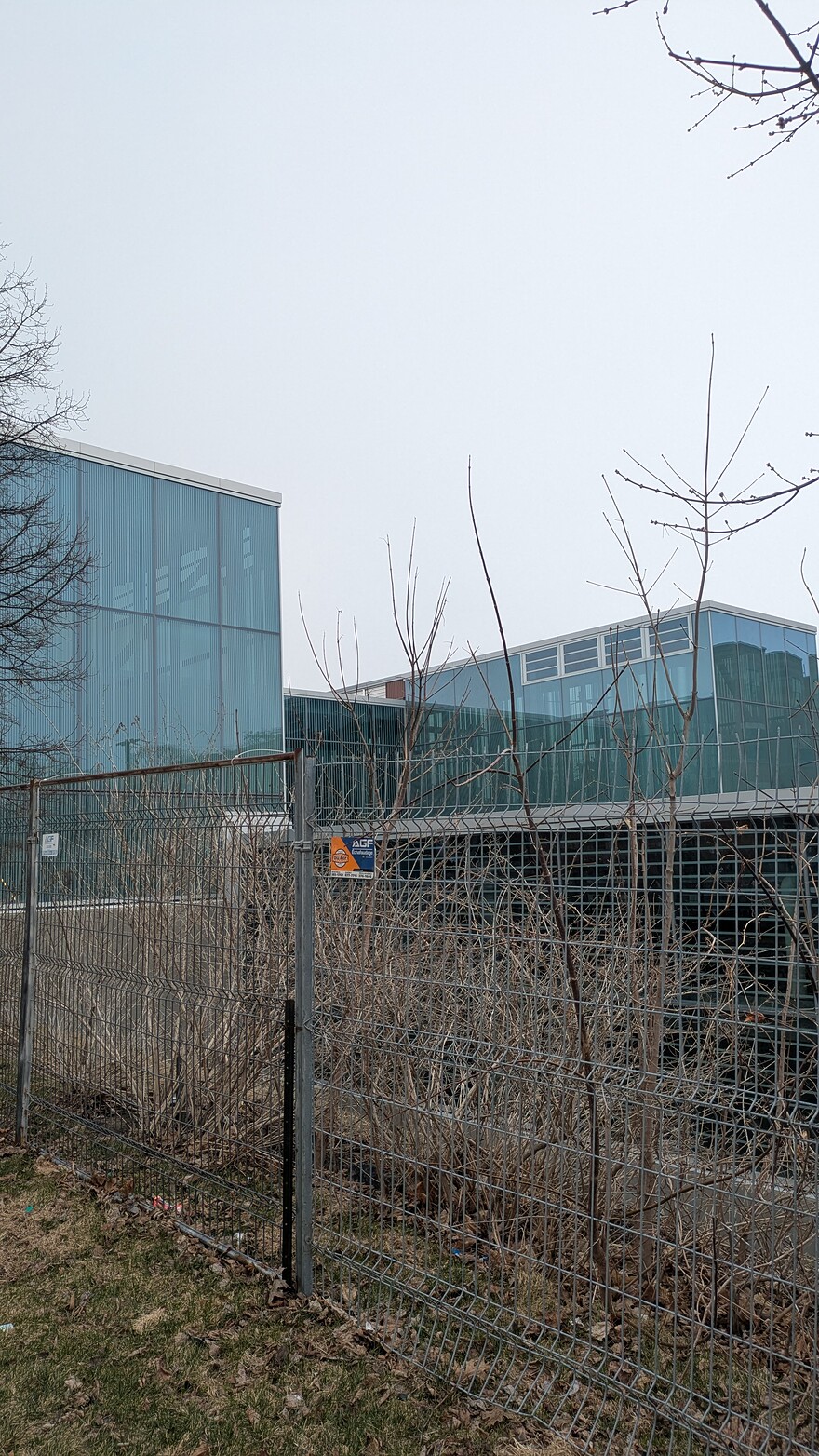 PXL_20250405_161203412.MP