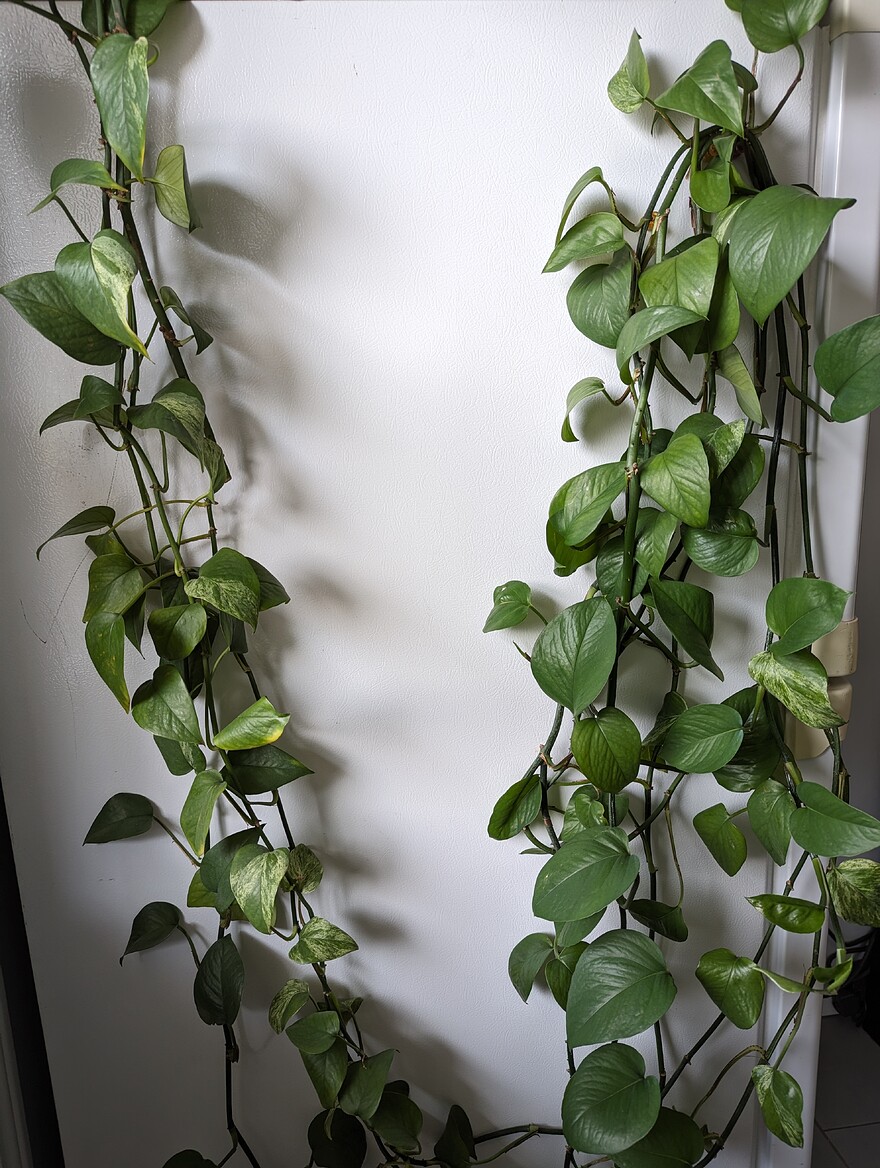 AGC_20250726_150116033