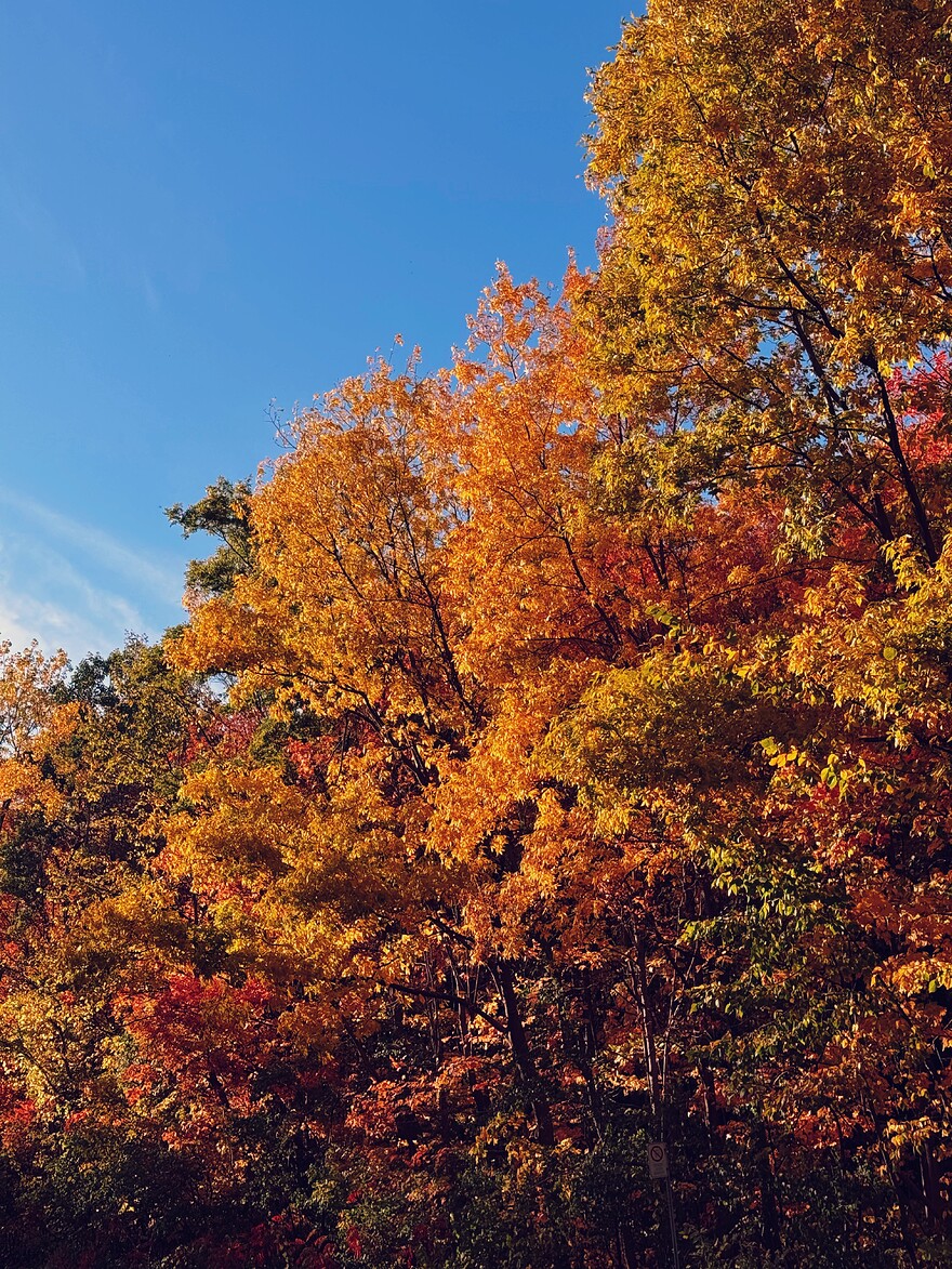 IMG_1283_SnapseedCopy