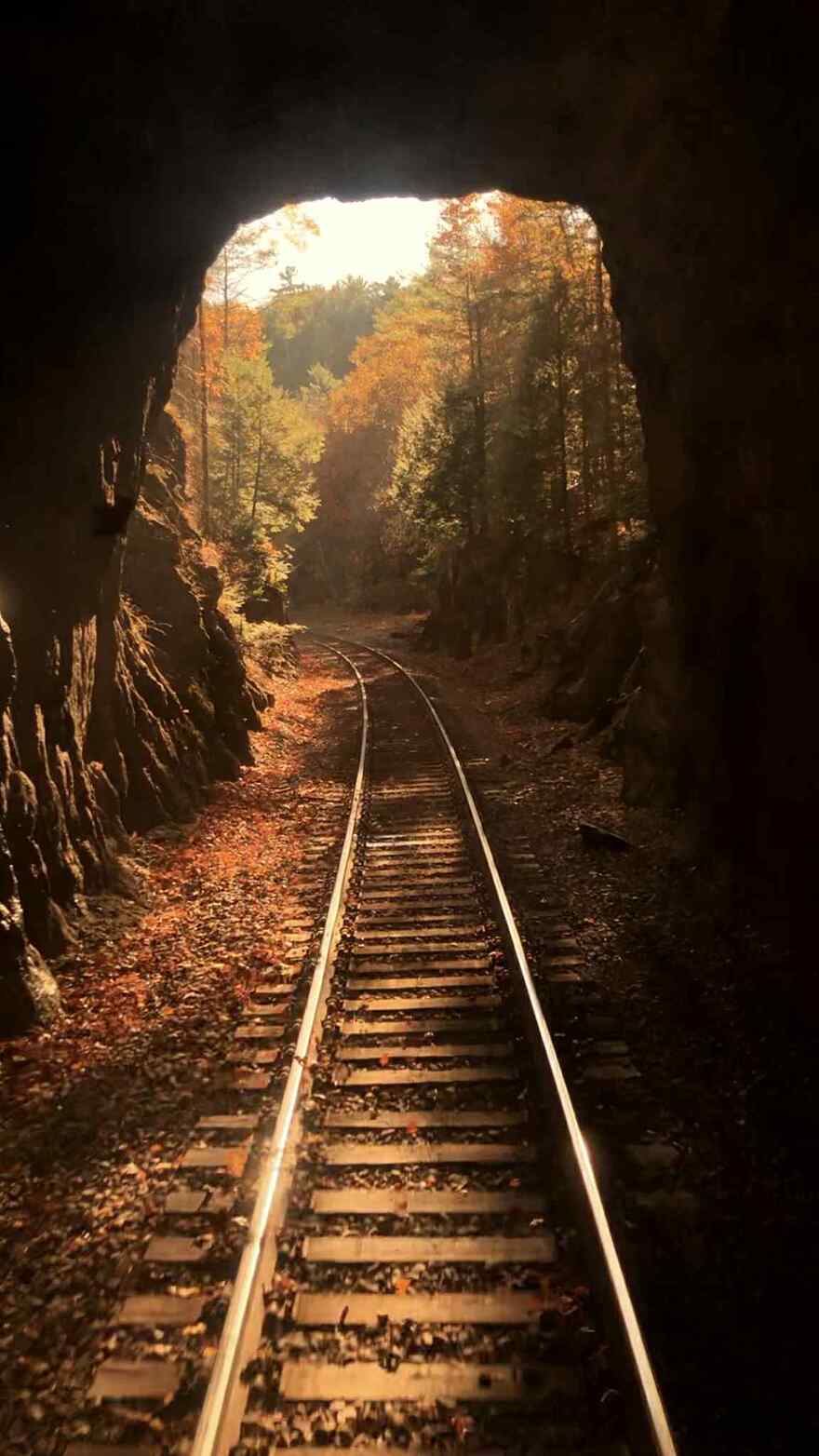 837ee354-bd06-47d0-bec9-6edcb607643a