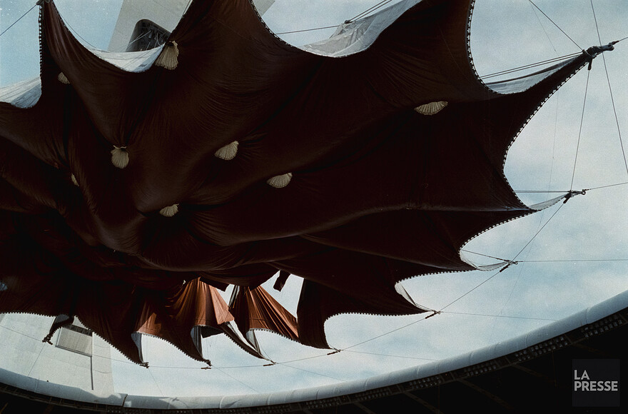 06M_P833S5D1991-0342_002