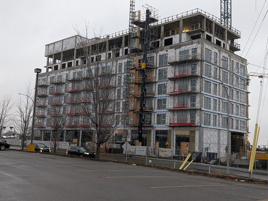 PXL_20251123_203432287