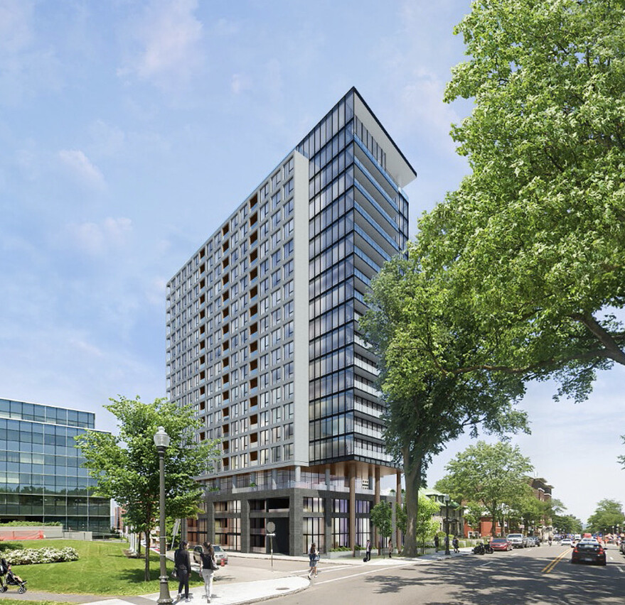 Screenshot 2025-06-21 at 19.50.23