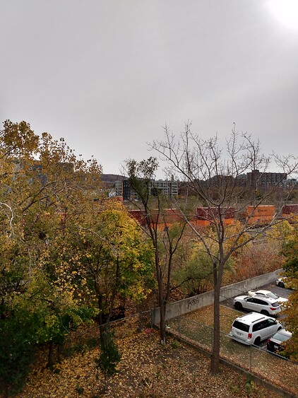 IMG_20241029_131207422_HDR