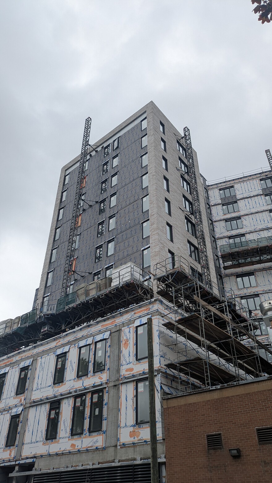 PXL_20250923_161007510.RAW-01.COVER